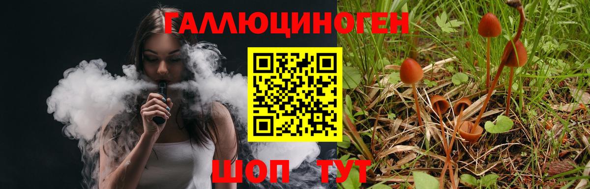 Галлюциногенные грибы GOLDEN TEACHER Красноярск